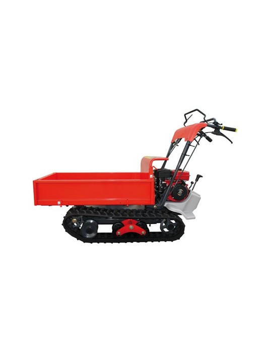 mini-transporteur imer CC310