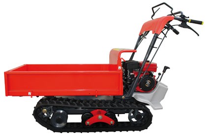 mini-transporteur imer CC310